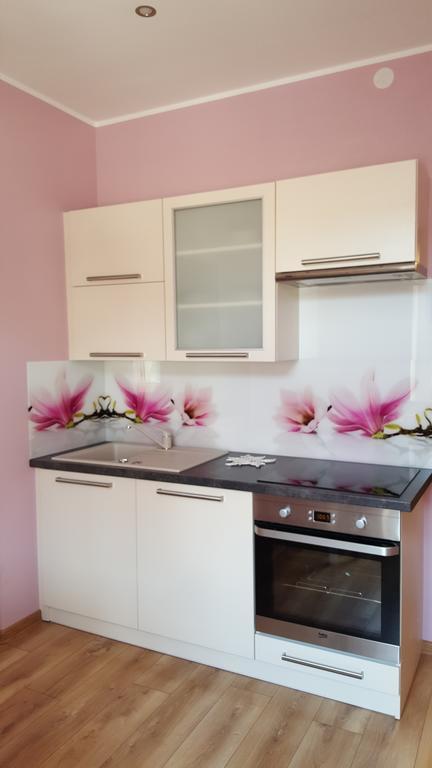 Apartament Pszczyna Centrum Eksteriør billede